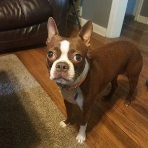 Meet your Posher, Carol